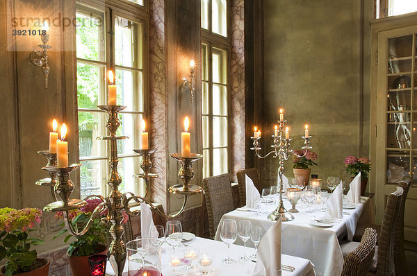 Restaurant  Hotel Villa Sorgenfrei  Radebeul bei Dresden  Sachsen  Deutschland  Europa