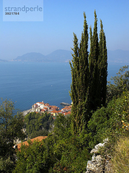 Tellaro  Stadt am Meer  Zypresse  Riviera  Ligurien  Italien  Europa