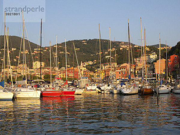 Altstadt und Hafen von Lerici  Bucht von La Spezia  Riviera  Ligurien  Italien  Europa