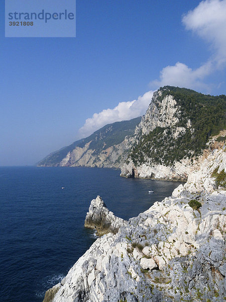 Steilküste der Cinque Terre  Portovenere  Riviera  Ligurien  Italien  Europa