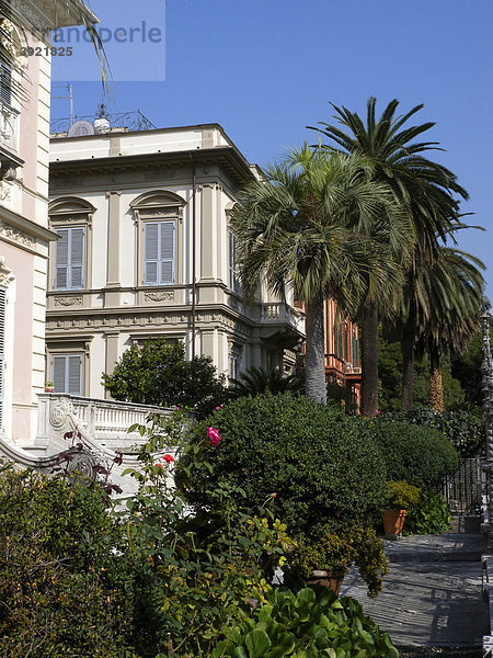 Villa  Palmen  Chiavari  Riviera  Ligurien  Italien  Europa
