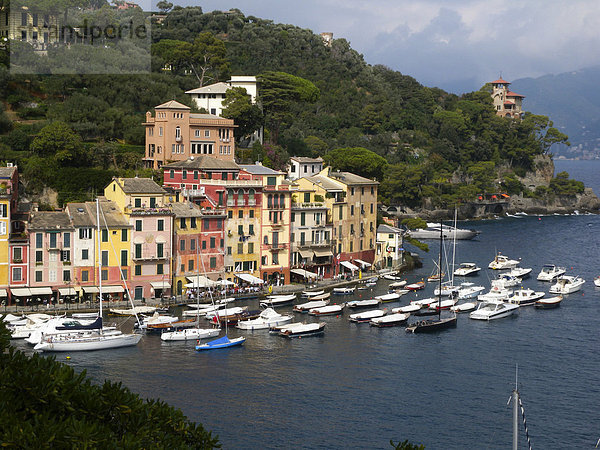 Blick auf Portofino  Hafen  Riviera  Ligurien  Italien  Europa