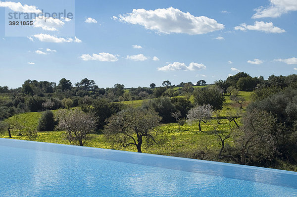 Swimmingpool in grüner Landschaft  Finca Son Mas bei Porto Cristo  Mallorca  Balearen  Spanien  Europa