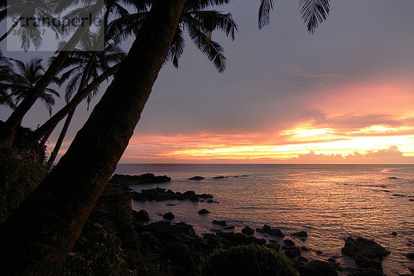 Sonnenuntergang  Arambol  Goa  Indien  Südasien