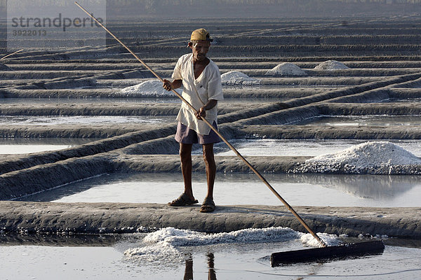 Salzgewinnung  Vengurla  Maharastra  Indien  Südasien