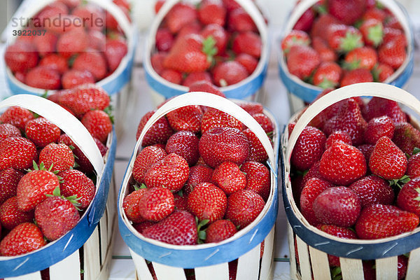 Kleine Körbchen mit Erdbeeren