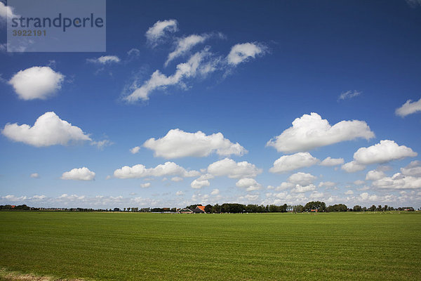 Niederländisches Ackerland mit flauschigen Wolken und blauem Himmel  Niederlande  Europa