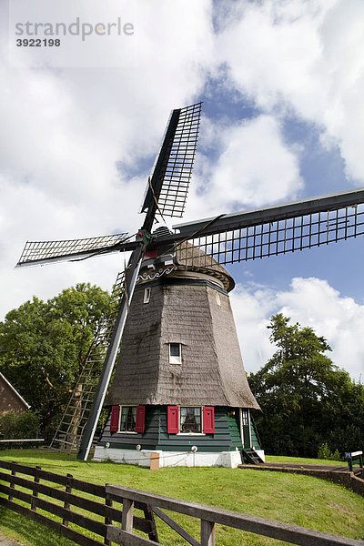 Niederländische Windmühle  Edam  Holland  Niederlande  Europa