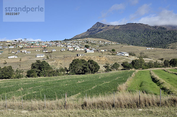 Cata-Village im ehemaligen Homeland Ciskei  Eastern Cape  Südafrika  Afrika