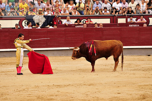 Stierkämpfer  matador  setzt mit scharlachrotem Tuch  muleta  und Degen  estoque  zum Todesstoß an  Stierkampfarena Las Ventas  Madrid  Spanien  Iberische Halbinsel  Europa