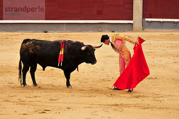 Stierkämpfer  matador  mit scharlachrotem Tuch  muleta  und Degen  estoque  küsst Horn eines Stiers in der Stierkampfarena Las Ventas  Madrid  Spanien  Iberische Halbinsel  Europa