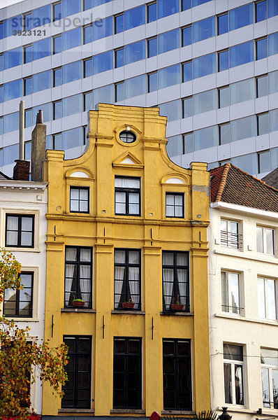 Altstadtfassade  Brüssel  Belgien  Europa