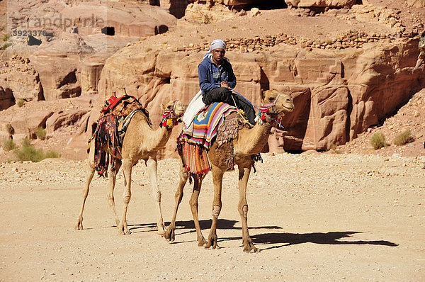 Beduine mit Kamelen in der Nabatäerstadt Petra  UNESCO-Weltkulturerbe  bei Wadi Musa  Jordanien  Naher Osten  Orient