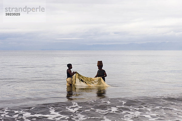 Frauen fischen mit Netz in der Antogil Bucht  Maroantsetra  Madagaskar  Afrika