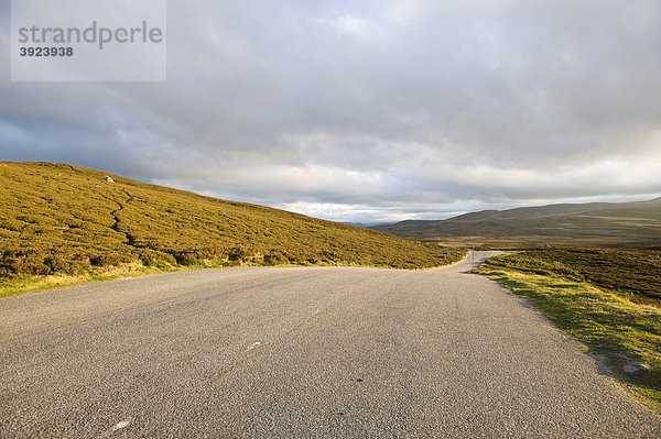 Straße  B976  durch die schottischen Highlands bei Bush Crathie  Aberdeenshire  Schottland  Großbritannien  Europa