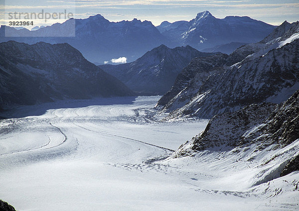 Aletschgletscher vom Jungfraujoch  Westalpen  Grindelwald  Schweiz  Europa
