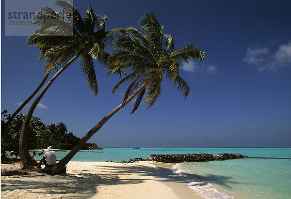 Palmenstrand  Ari Atoll  Malediven  Asien