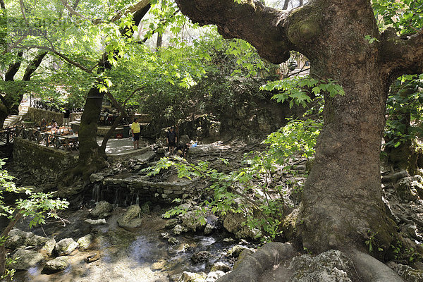 Taverne unter schattigen Bäumen im Epta Piges  Das Tal der sieben Quellen  Rhodos  Griechenland  Europa