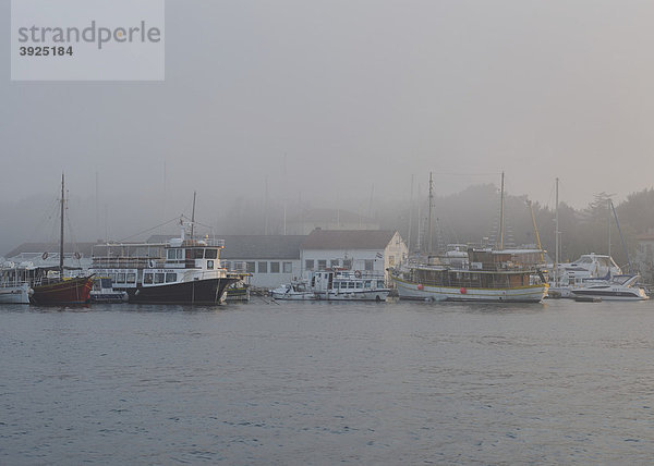 Nebel über dem Hafen der Stadt Krk  Kroatien  Europa