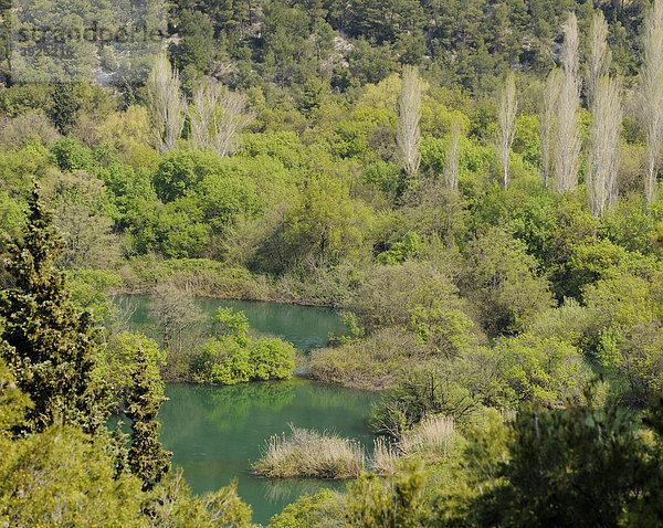 Seenlandschaft im Nationalpark Krka Wasserfälle  Kroatien  Europa