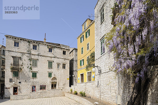 Platz in der Altstadt von Sibenik  Kroatien  Europa