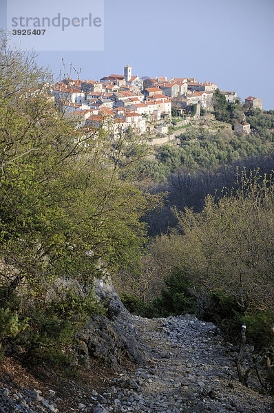 Beli auf Cres  Kroatien  Europa