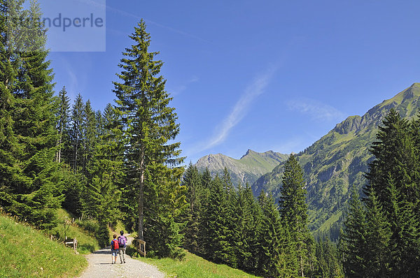 Wanderung im Turatal  Kleinwalsertal  Vorarlberg  Allgäuer Alpen  Österreich  Europa