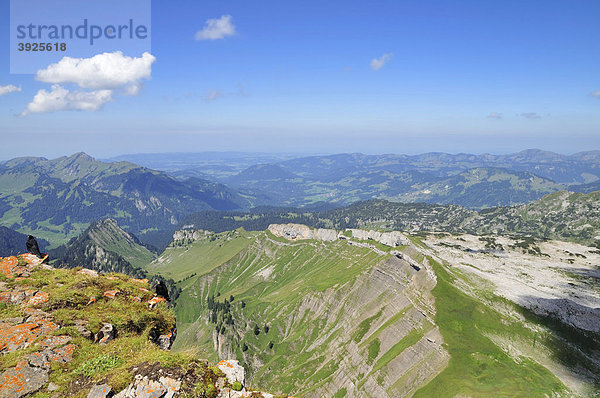 Blick vom Berg Hoher Ifen auf das Gottesackerplateau  Vorarlberg  Allgäuer Alpen  Österreich  Europa