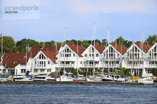 Weiße Holzhäuser am Yachthaven von Stavanger  Norwegen  Skandinavien  Nordeuropa Holzhäuser