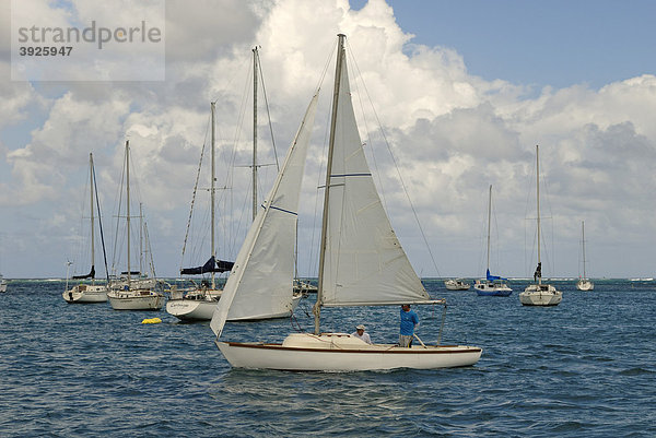 Segelboote im Hafen von Christiansted  Insel St. Croix  US Virgin Islands  USA