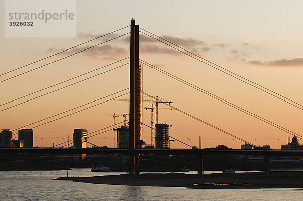 Rheinkniebrücke  abendliche Gegenlichtaufnahme  Düsseldorf  Nordrhein-Westfalen  Deutschland  Europa