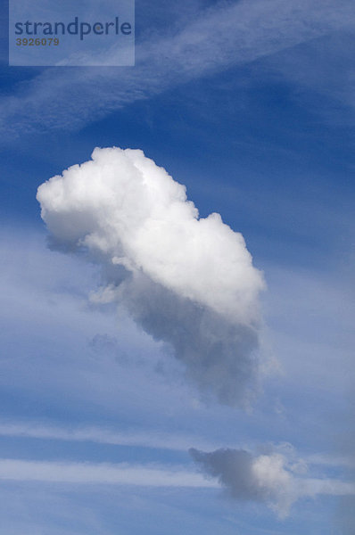 Steil aufsteigende Cumuluswolke vor Schleierwolkenhimmel