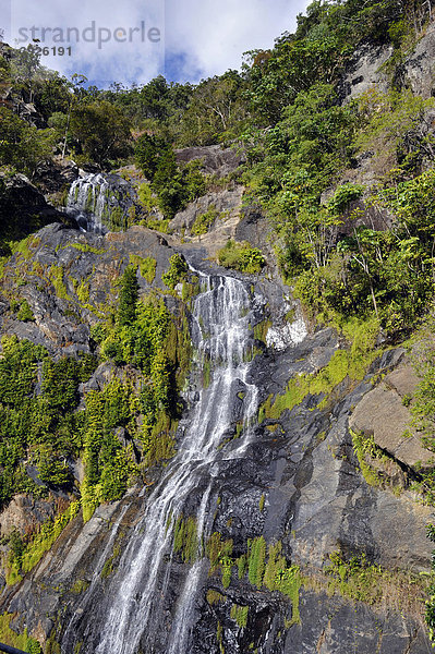 Wasserfall Stoney Creek Falls  Regenwald  Atherton Tablelands  Queensland  Australien