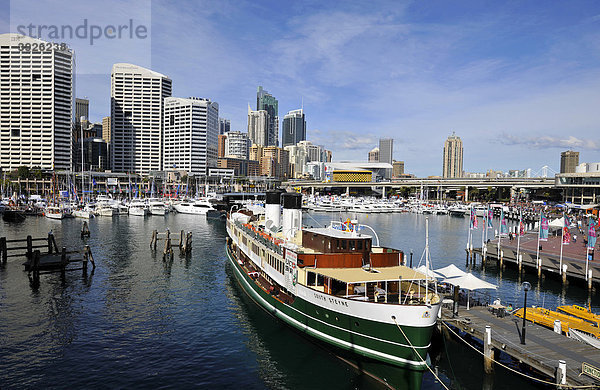 Darling Harbour  Skyline Central Business District  Sydney  New South Wales  Australien