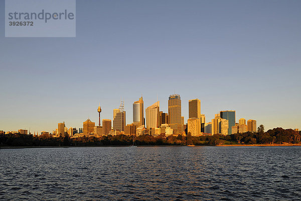 Sydney Skyline bei Sonnenaufgang  TV Tower  Central Business District  Sydney  New South Wales  Australien