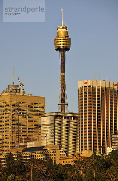Sydney TV Tower  Fernsehturm  höchstes Bauwerk Australiens  Sydney  New South Wales  Australien