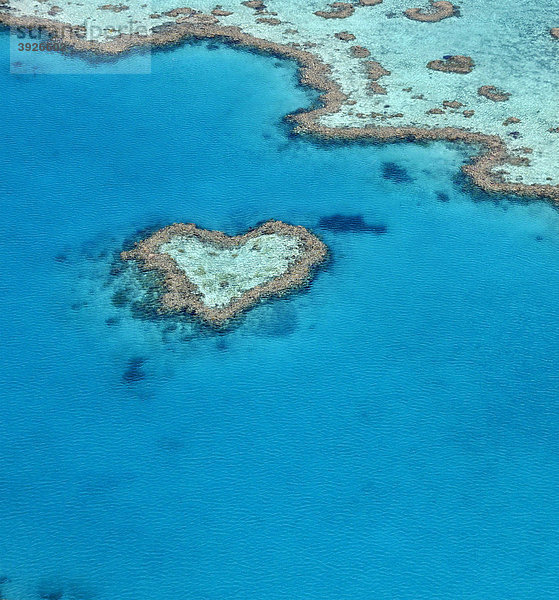 Luftaufnahme Meeresboden  Heart Reef  Riff in Herzform  Great Barrier Reef World Heritage Area  Großes Barriereriff  UNESCO Weltnaturerbe  Queensland  Südpazifik  Australien
