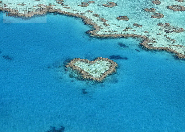 Luftaufnahme Meeresboden  Heart Reef  Riff in Herzform  Great Barrier Reef World Heritage Area  Großes Barriereriff  UNESCO Weltnaturerbe  Queensland  Südpazifik  Australien