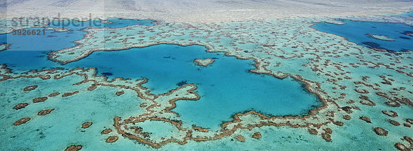 Panoramaaufnahme Luftaufnahme Meeresboden  Heart Reef  Riff in Herzform  Great Barrier Reef World Heritage Area  Großes Barriereriff  UNESCO Weltnaturerbe  Queensland  Südpazifik  Australien