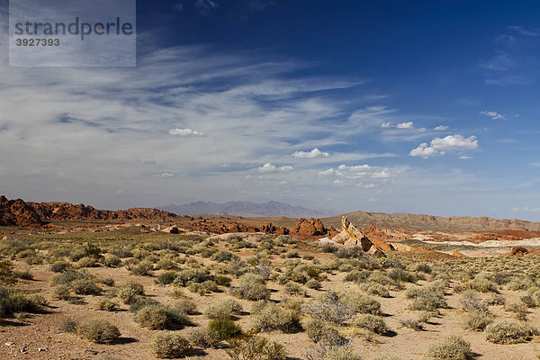 Valley of Fire State Park  Nevada  USA