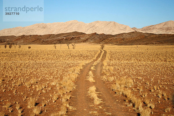 Auf dem Weg von der Sandwüste in die Steinwüste  Namib  Namibia  Afrika