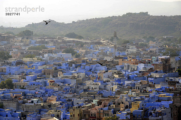 Blick vom Mehrangarh Fort auf Jodhpur  Die Blaue Stadt  Rajasthan  Nordindien  Indien  Südasien  Asien