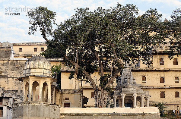 Stadtpalast am Pichola-See  Detail  Udaipur  Rajasthan  Nordindien  Indien  Südasien  Asien