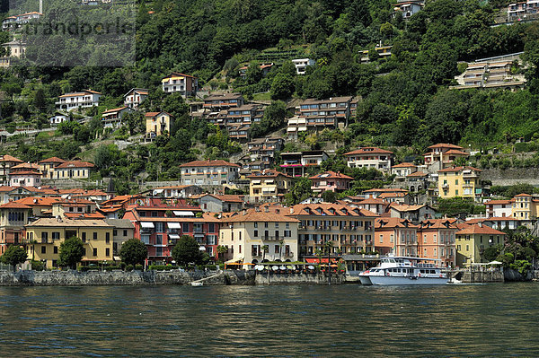 Ortsansicht mit Touristenfähre  Lago Maggiore  Cannero Riviera  Piemont  Italien  Europa