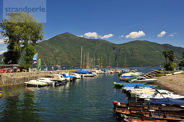 Hafen  Lago Maggiore  Cannobio  Piemont  Italien  Europa