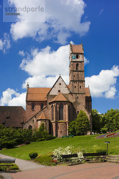 Klosterkirche  Benediktinerkloster Alpirsbach  Schwarzwald  Baden-Württemberg  Deutschland  Europa