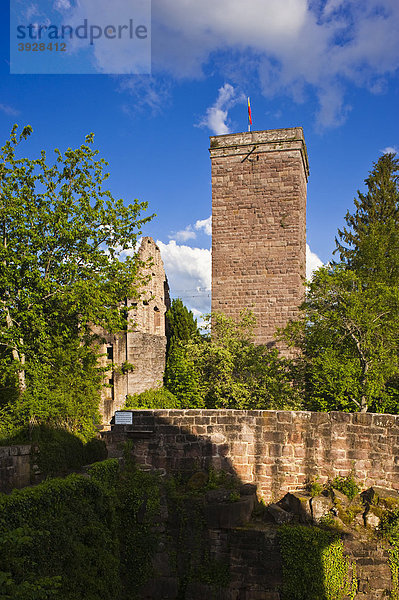 Burgruine Zavelstein  Bad Teinach Zavelstein  Schwarzwald  Baden-Württemberg  Deutschland  Europa