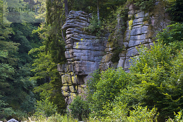 Fels am Fluss Murg im Murgtal  Forbach  Schwarzwald  Baden-Württemberg  Deutschland  Europa
