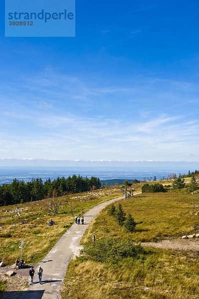 Hornisgrinde  Rheintalpanorama vom Hornisgrindeturm  Schwarzwald  Baden-Württemberg  Deutschland  Europa