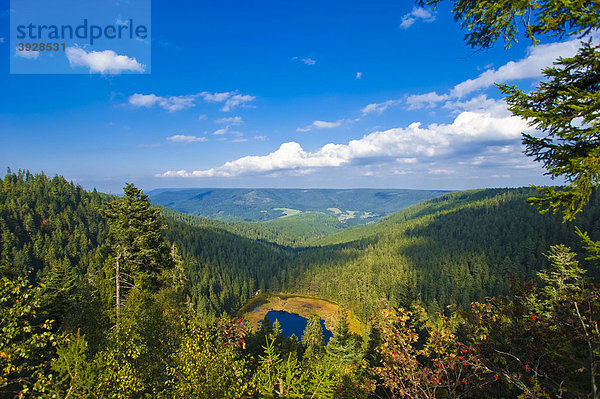 Seeblick von der Karwand auf den Huzenbacher See  Baiersbronn Huzenbach  Schwarzwald  Baden-Württemberg  Deutschland  Europa